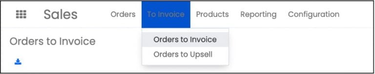 Customer Invoice