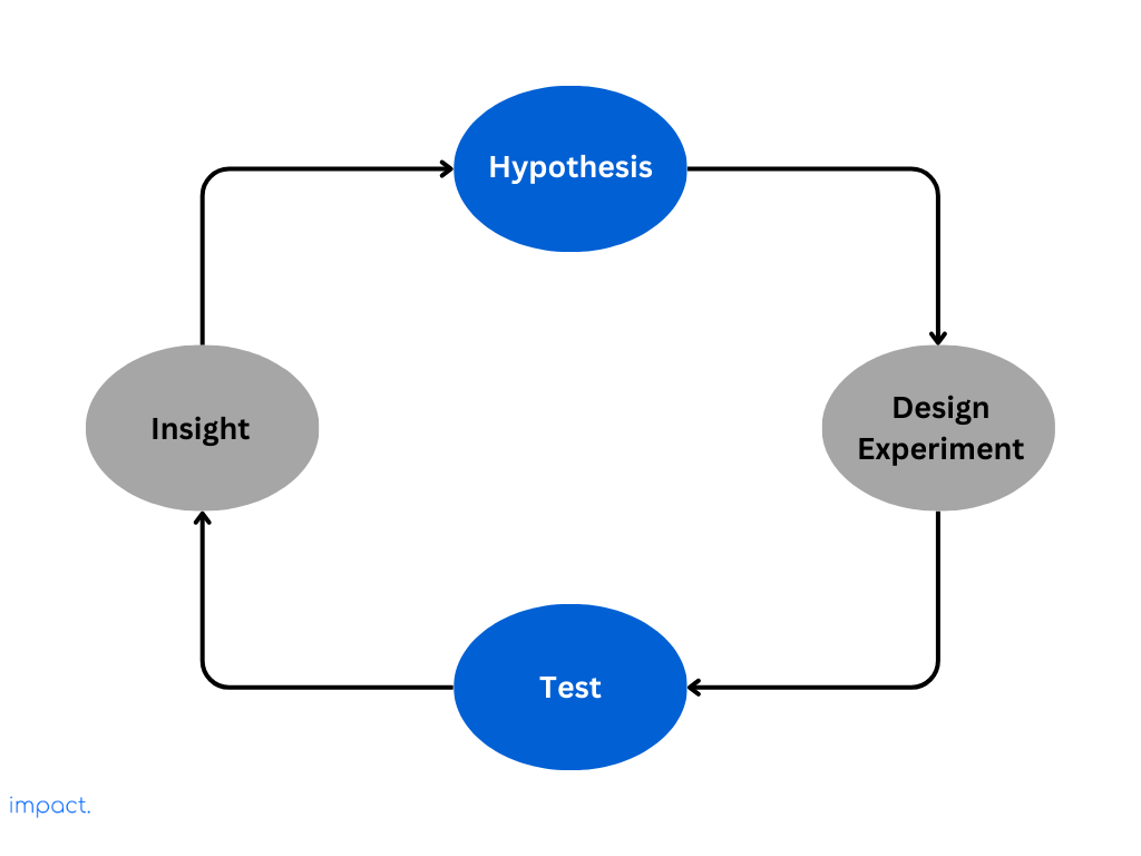 Customer development insight cycle